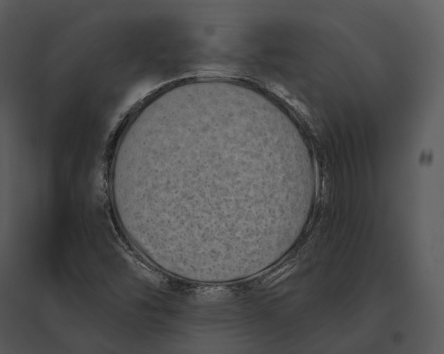 X0000095531454200801041235