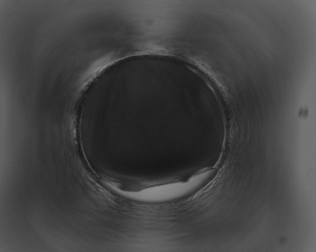 X0000095531455200801041235