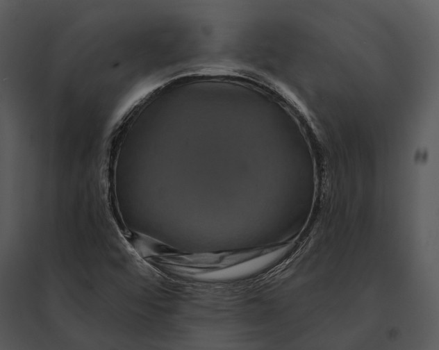 X0000095531456200801041235