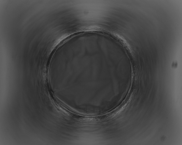 X0000095531457200801041235