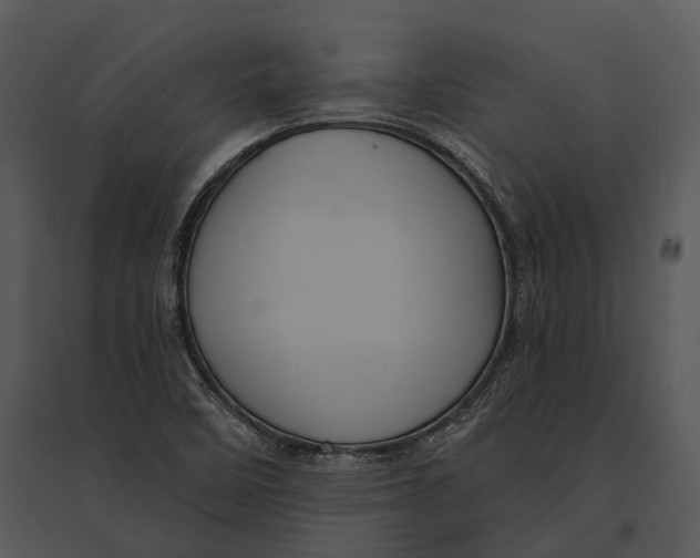 X0000095531458200801041235