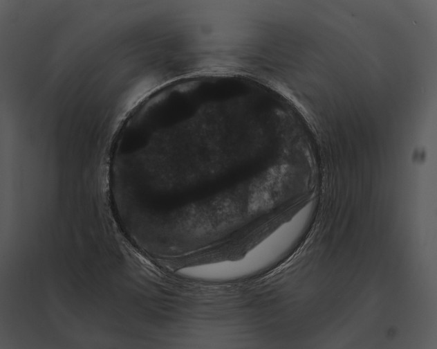 X0000095531459200801041235