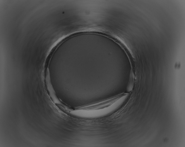 X0000095531460200801041235