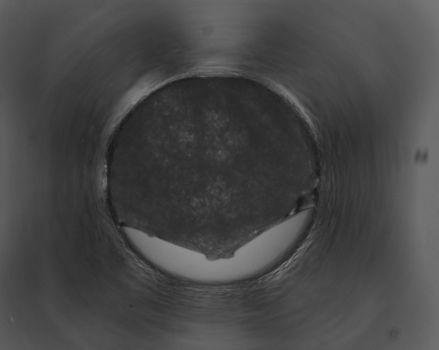 X0000095531461200801041235