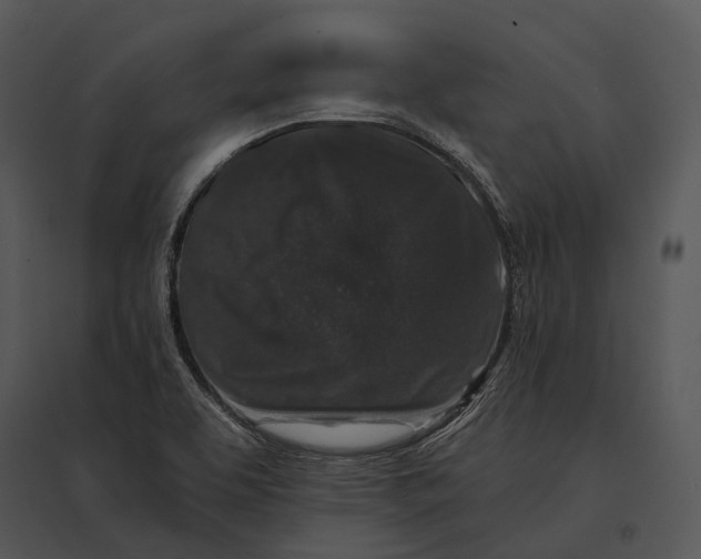 X0000095531463200801041235