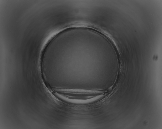 X0000095531464200801041235