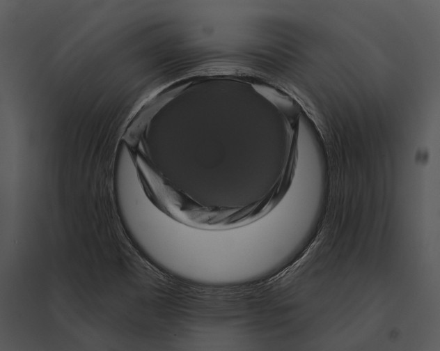 X0000095531465200801041234