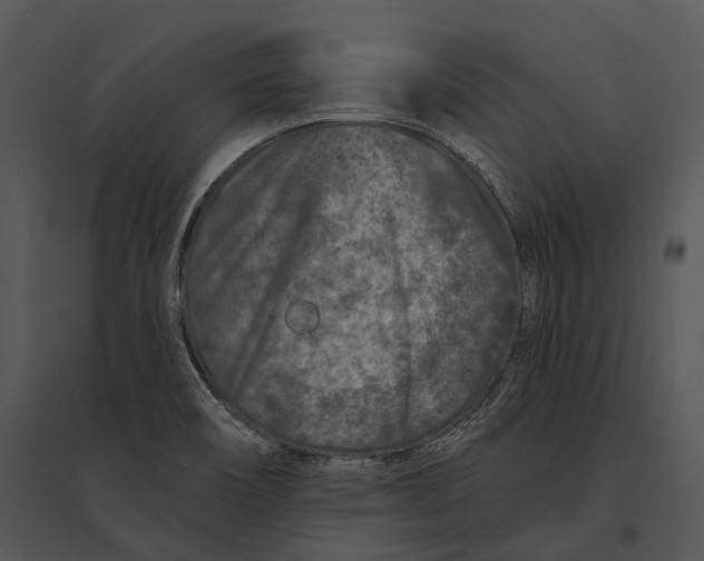 X0000095531466200801041234