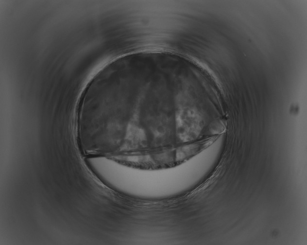 X0000095531467200801041234