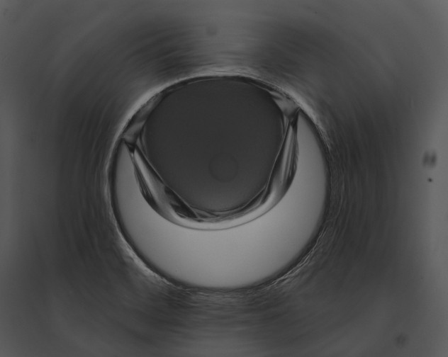 X0000095531468200801041234