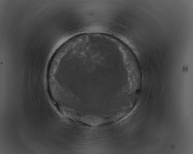 X0000095531469200801041234