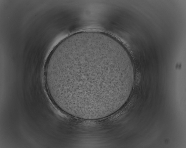 X0000095531470200801041234