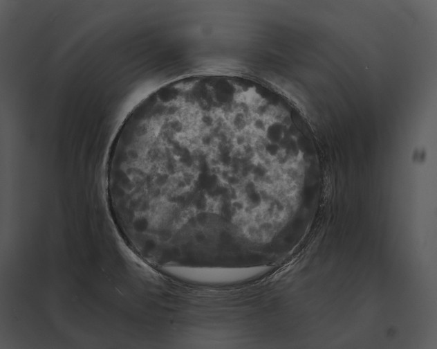 X0000095531471200801041234