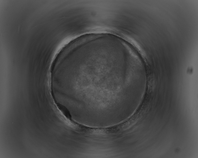 X0000095531472200801041234