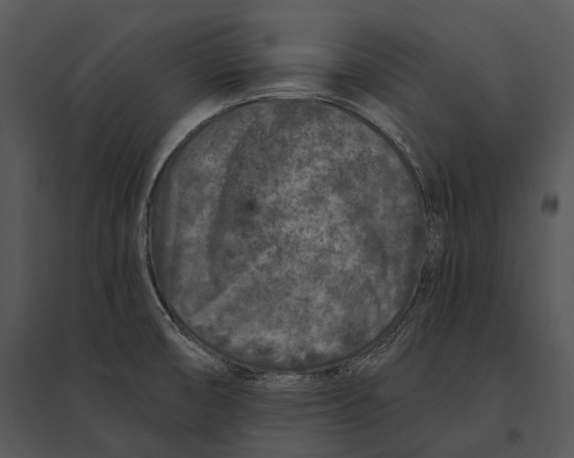 X0000095531474200801041234