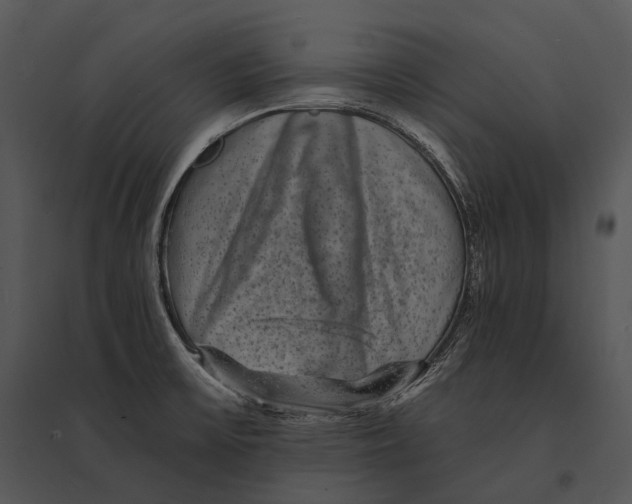 X0000095531475200801041234