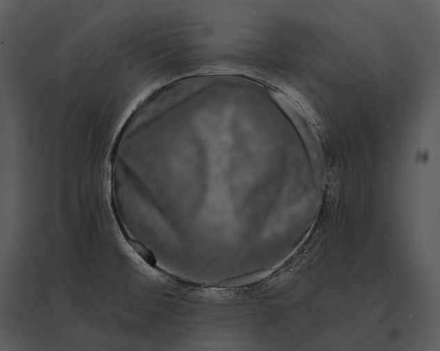 X0000095531476200801041234