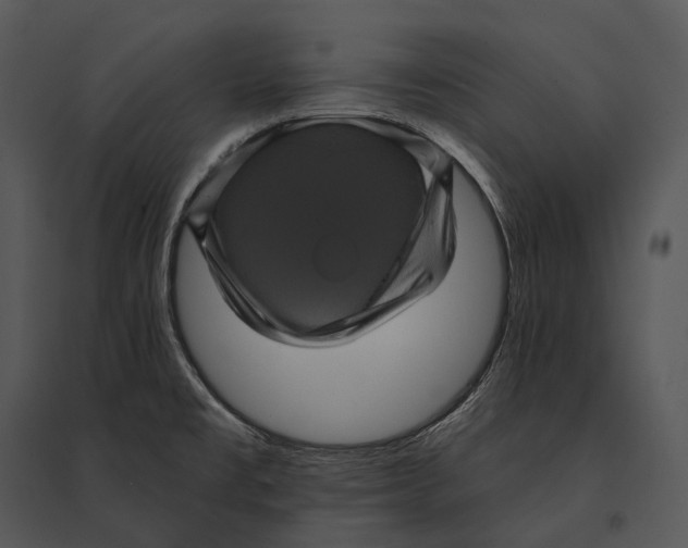 X0000095531477200801041234