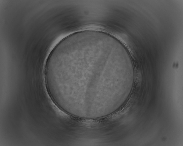 X0000095531478200801041234