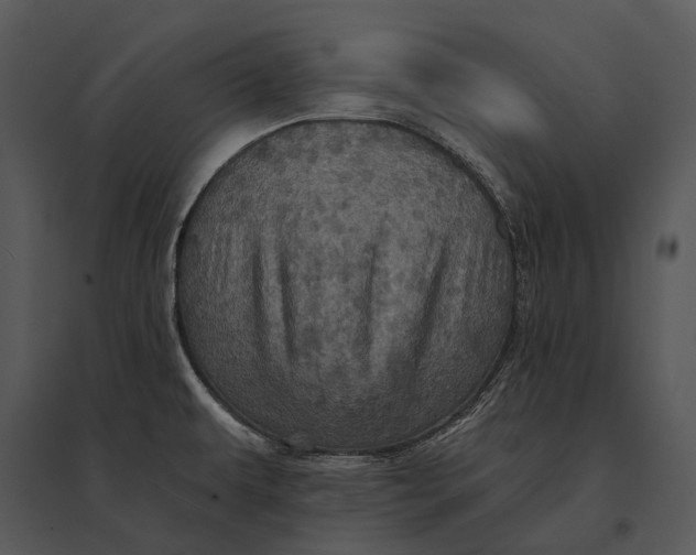 X0000095531479200801041234