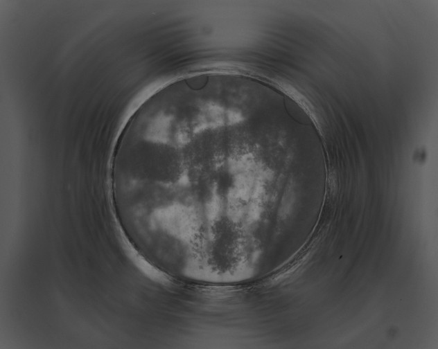 X0000095531482200801041234