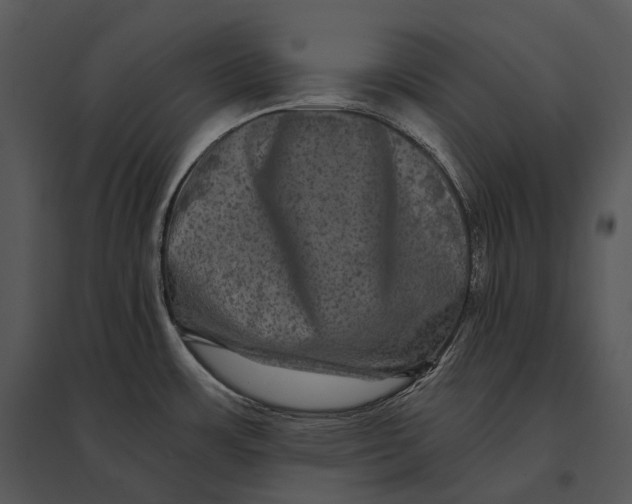 X0000095531483200801041234