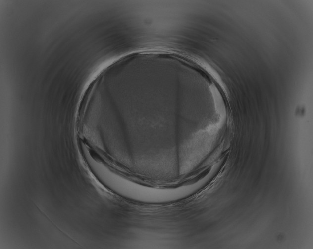 X0000095531485200801041234