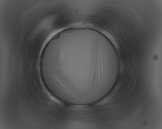 X0000095531486200801041234