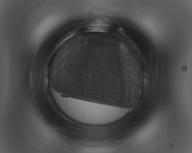 X0000095531487200801041234