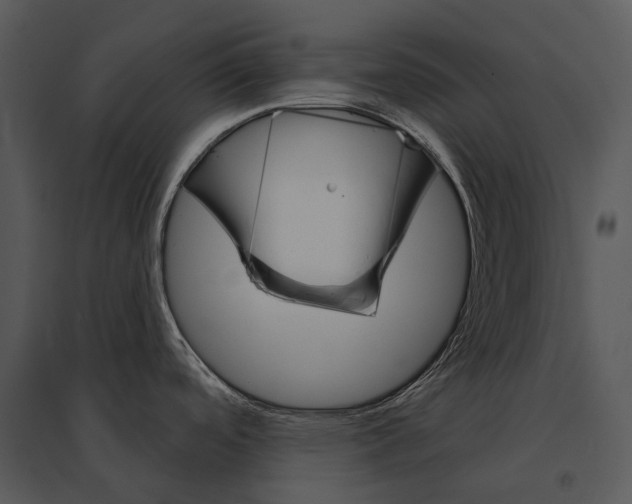 X0000095531488200801041234