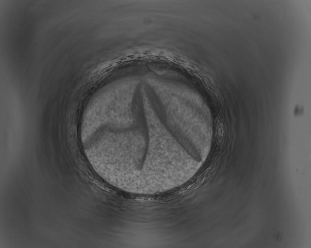 X0000095531489200801041233