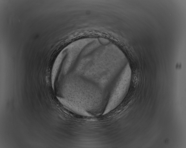 X0000095531490200801041233