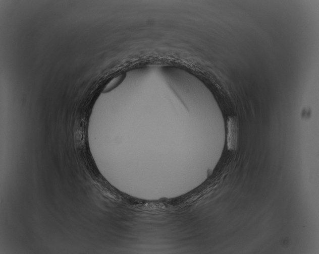 X0000095531491200801041233