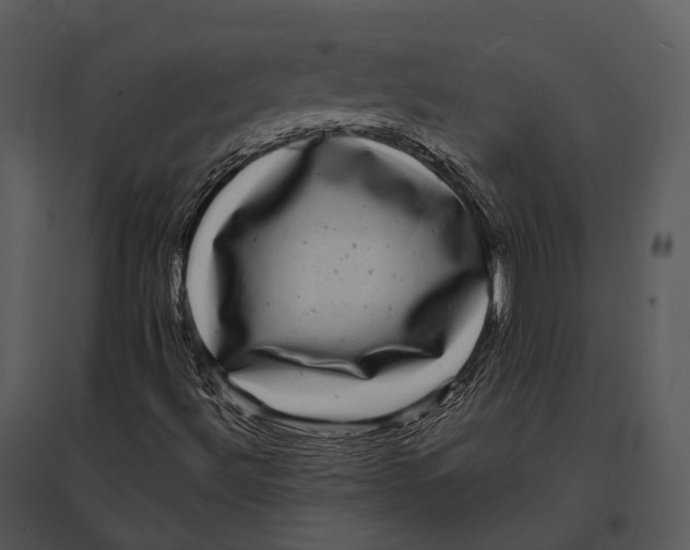 X0000095531492200801041233