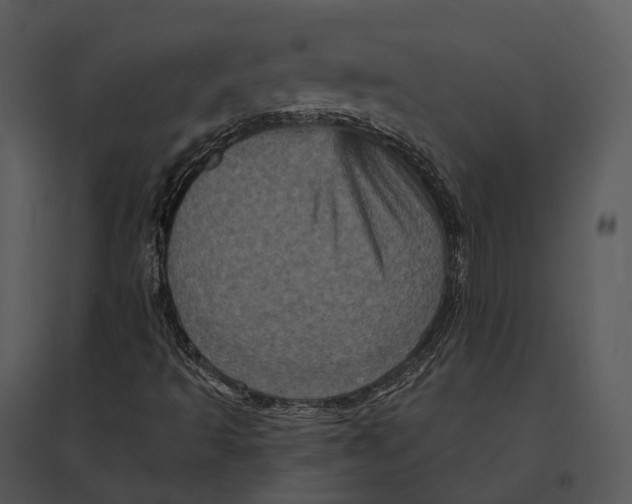 X0000095531493200801041233