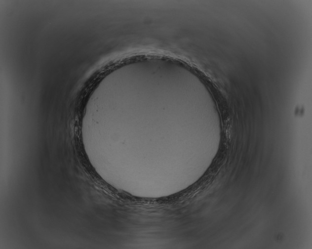 X0000095531495200801041233