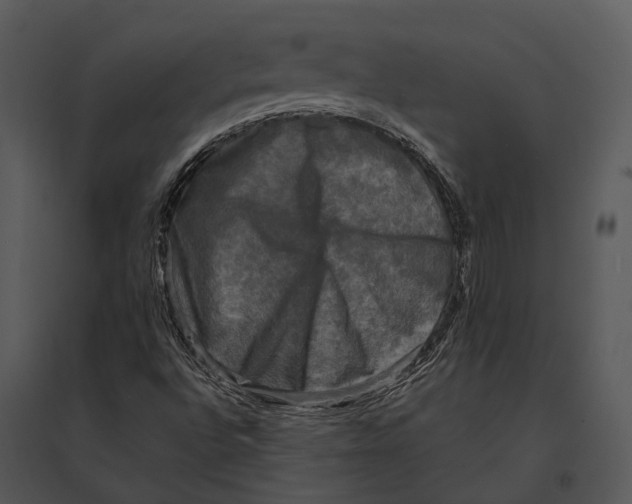 X0000095531496200801041233