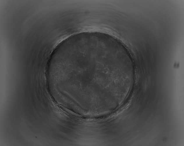 X0000095531497200801041233