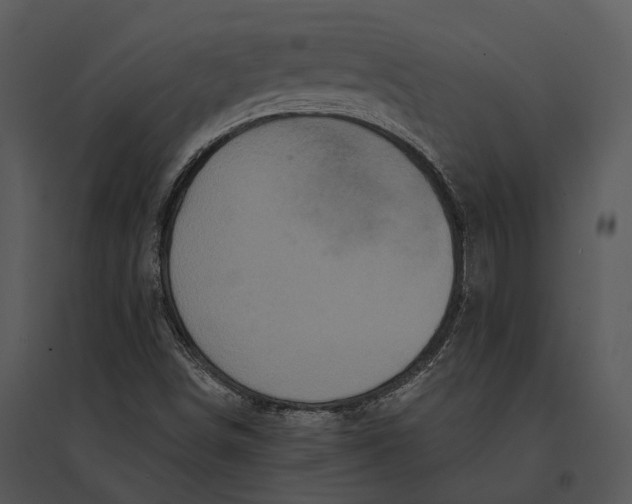 X0000095531498200801041233