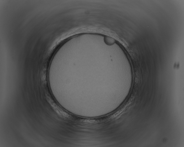 X0000095531499200801041233