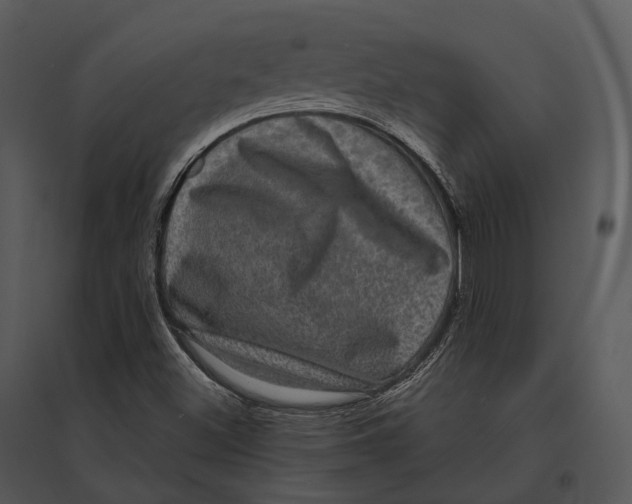 X0000095531500200801041233