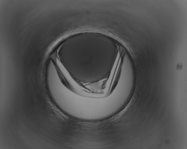 X0000095531502200801041234