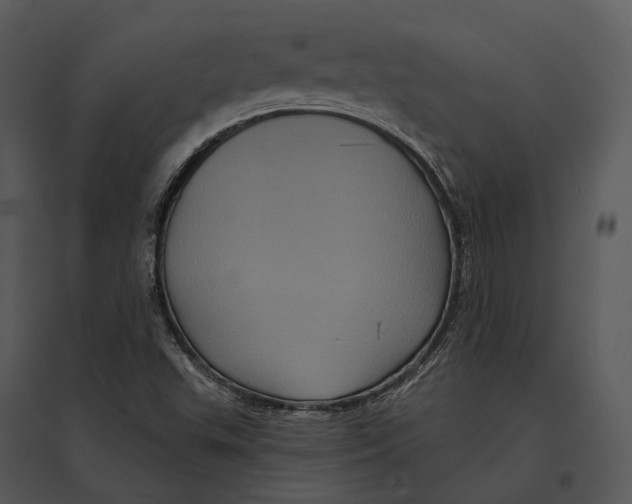 X0000095531503200801041234