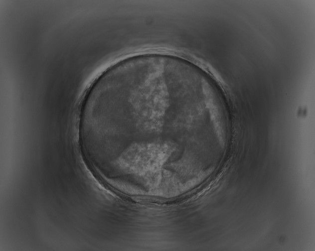 X0000095531504200801041234