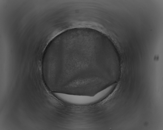 X0000095531505200801041234