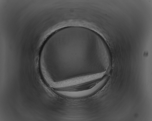 X0000095531507200801041234