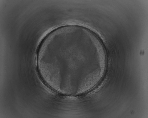 X0000095531509200801041234