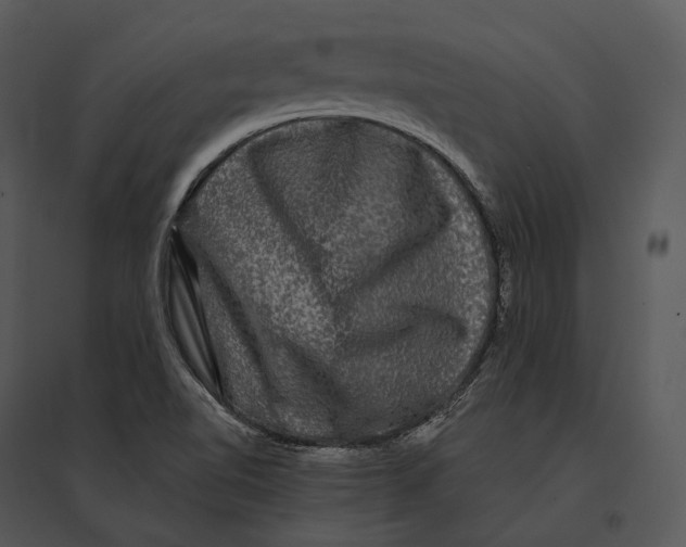 X0000095531510200801041234