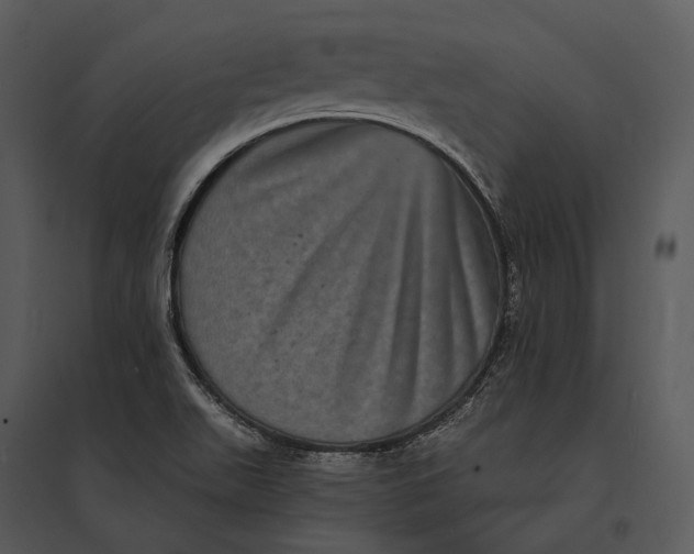 X0000095531511200801041234