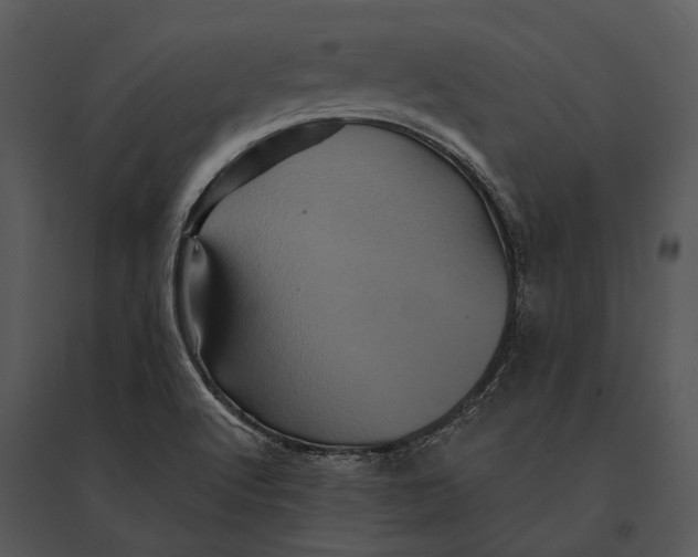 X0000095531512200801041234